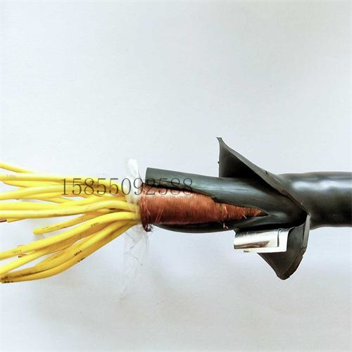 AFPXR200防火耐高溫電纜