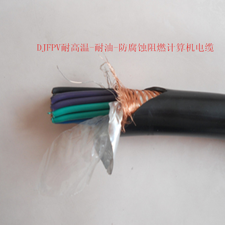 DZR-DJYPVP2*2*1.5計算機電纜
